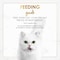 Purina Fancy Feast Gravy Lovers Beef Feast in Roasted Beef Flavour Gravy Cat Food, 85g