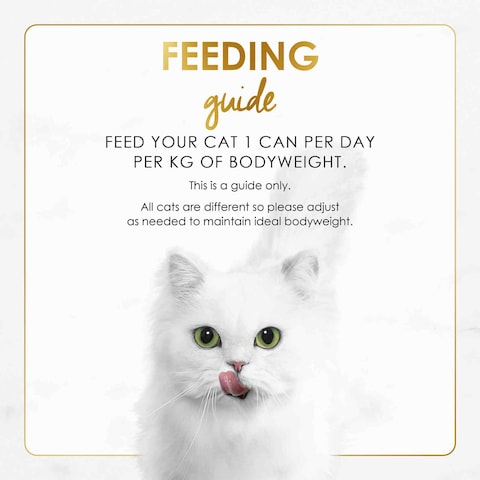 Purina Fancy Feast Gravy Lovers Beef Feast in Roasted Beef Flavour Gravy Cat Food, 85g