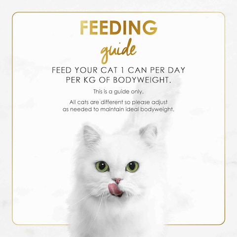 Purina Fancy Feast Grilled Chicken Feast in Gravy Gourmet Cat Food 85g