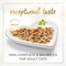 Purina Fancy Feast Grilled Salmon Feast in Gravy Cat Food Can, 85g