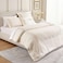 Pan Home Hotel Nouveau Nora Velvet 4-Piece King Comforter Set 240x260cm - Cream
