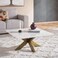 Pan Home Faroe Coffee Table Marble - White &amp; Antique Brass