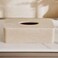 Pan Home Zenith Tissue Box 29X17.5X 9.3cm - Beige