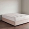 Pan Home Biotic Plush Turnable High Density Soft Latex 24cm 160X190 - White