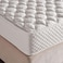 Pan Home Biotic Plush Turnable High Density Soft Latex 24cm 160X190 - White