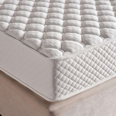 Pan Home Biotic Firm Turnable High Density Hard Latex 24cm 155X205 - White