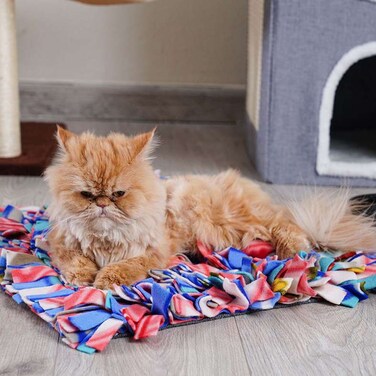 Pan Home Pawsome Shaggy Pet Playmay 40X50cm Multi