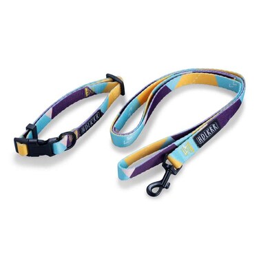 Pan Home Marnie Pet Leash With Collar 1.2Mx1.5cm - Yellow