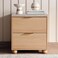 Pan Home Fern Nightstand With 2 Drawer - Natural