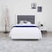 Pan Home Lifestyle Bed 120X200cm