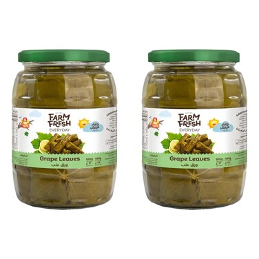 Farm Fresh Everyday Grape Leaves, 920g Pack of 2