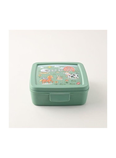 Square Sandwich Box 500ml, Green