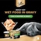 Sheba Cat Food Tuna &amp; Snapper, 85g Can (Pack of 24)