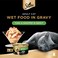 Sheba Cat Food Tuna &amp; Snapper, 85g Can (Pack of 24)