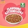 Purina Friskies Kitten Food Discoveries Flavours of Tuna, Chicken, Milk, Vegetables and Whole Grains Cat Food, 1kg