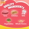 Purina Friskies Kitten Food Discoveries Flavours of Tuna, Chicken, Milk, Vegetables and Whole Grains Cat Food, 1kg