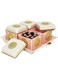 Nayasa Dry Fruit Tray with Leakproof Containers Florentine (Pink)