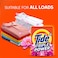 Tide Fast Action Plus Low Solution Detergent Powder Downy Floral Breeze 2.5kg Pack of 2