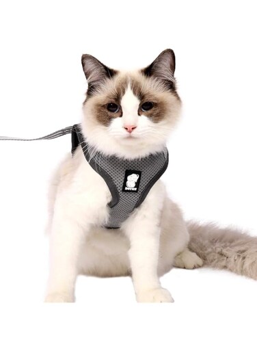 HEYWEAN Cat Harness and Leash - Ultra Light Escape Proof Kitten Collar Cat Walking Jacket with Running Cushioning Soft and Comfortable Suitable for Puppies Rabbits (M, Silver Grey)