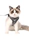 HEYWEAN Cat Harness and Leash - Ultra Light Escape Proof Kitten Collar Cat Walking Jacket with Running Cushioning Soft and Comfortable Suitable for Puppies Rabbits (M, Silver Grey)