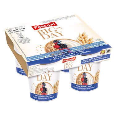 Pascual Big Day Forest Fruits and Cereals Yogurt, 125g Pack of 4