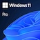Microsoft Windows 11 Pro Digital License 1 PC UAE, ESD