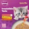 Whiskas Junior Tasty Mix, Mix of the Sea Collection in Jelly, Pack of 12x70g