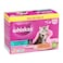 Whiskas Tuna Flavour in Jelly Wet Food for Cats, 2 to 12 months, 80g Pack of 12