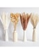 LEDIN 100 PCS Boho Pampas Grass, Naturally Dried Pompas, Pampas Grass Decor for Wedding , Boho Party Decorations, Table Decor (100 PCS)