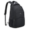 Delsey Paris Element Aviator 2 Compartment Backpack Black 15.6inch