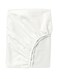 Sheet Cotton White