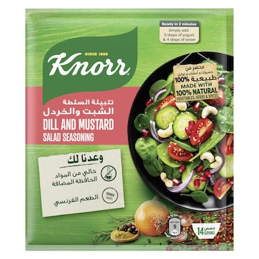Knorr Dill and Mustard Salad Seasoning, 10g