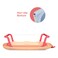 Nurtur Collapsible Baby Bath Tub QCB07-NR-2 Orange and Pink 90x50x22cm