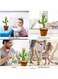 ACLIX Electric Dancing Plant Cactus Plush Stuffed Toy -Green/Brown With Music For Kids &lrm;32 x 27 x 11.5cm