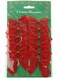 BGM 12-Piece Decorative Ornament Set Red