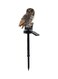 Generic LED Solar Light Owl Waterproof Brown 25cm
