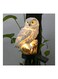 Generic LED Solar Light Owl Waterproof Silver/White 25cm