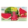 Little Trees Vent Wrap Air Freshener Watermelon
