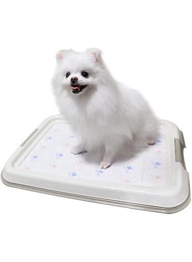 PAWISE Pee Pad Holder for Puppy Pads, Dog Pad Holder, Pee Pad Tray for Training Pads,Puppy Pad Holder (19.2"x14")