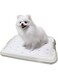 PAWISE Pee Pad Holder for Puppy Pads, Dog Pad Holder, Pee Pad Tray for Training Pads,Puppy Pad Holder (19.2"x14")