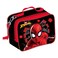 Spider-man Printed 5-in-1 Trolley Bag Set 16inch