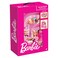 Barbie Printed 5-in-1 Trolley Bag Set 14inch