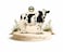 Cow - Local
