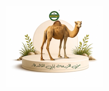 Camel - Local