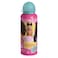 Barbie Printed Metal Water Bottle with Strap