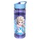 Frozen Printed Water Bottle 650ml
