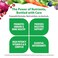 Rainbow Light Men's Multivitamin With Organic Fruits &amp; Vegetables, 120 Capsules (Package May Vary)