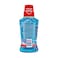 Colgate Plax Mouthwash Peppermint Blue 250ml Pack of 2