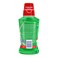 Colgate Plax Mouthwash Tea Fresh Green 250ml Pack of 2