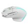 Canyon Fortnax USB 2.0 Optical Wired 9 Button RGB Gaming Mouse White